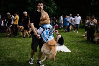 This is what happens when 2,397 golden retrievers gather in an Argentina park