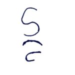 Weld County sheriff's looking for missing Angus cattle