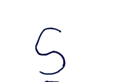 Weld County sheriff's looking for missing Angus cattle