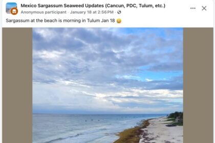 7 Million Tons of Sargassum Moving Towards Mexico and the Caribbean