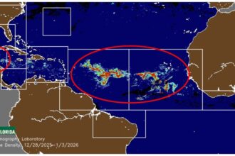 Cancun Area Sargassum Seaweed Updates 2024