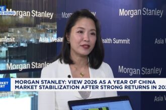 China's tech bet fall short of filling property hole, report says