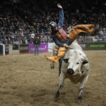 Denver PBR Chute Out at the National Western Stock Show – The Denver Post