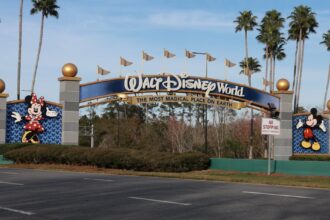 Disney World Worker Is Injured Trying To Stop Runaway Boulder At Indiana Jones Show