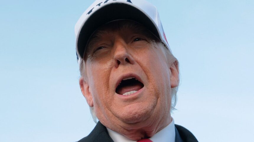 Ex-RNC Chair Michael Steele Shreds Trump Over 'Punkish Move'