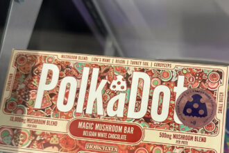 Illegal "magic mushroom" chocolates for sale in Denver, officials warn