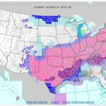 Real-Time Photo Reports from the U.S. Snowstorm