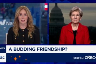 Sen. Warren says Trump called her about credit cards, affordability