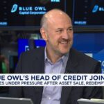 Blue Owl software lending triggers another quake in private credit