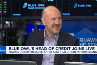 Blue Owl software lending triggers another quake in private credit