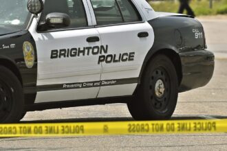Brighton driver injured in crash with train, police say