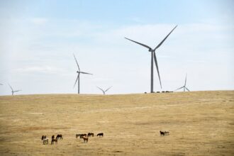 Colorado regulators keep Xcel renewable energy projects on fast track
