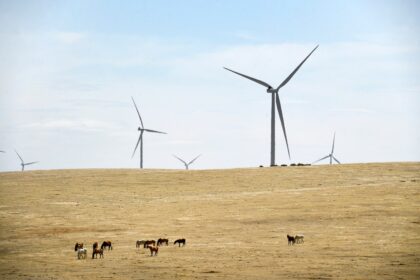 Colorado regulators keep Xcel renewable energy projects on fast track