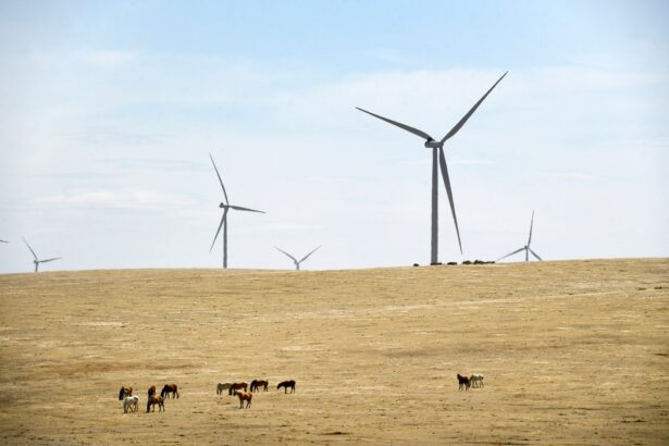 Colorado regulators keep Xcel renewable energy projects on fast track