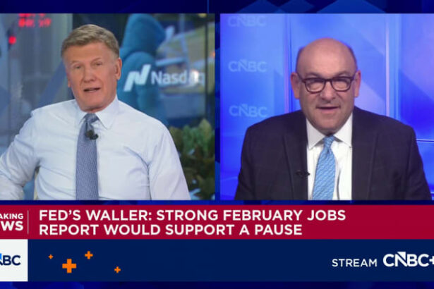 Fed's Goolsbee calls for a hold on cuts as current rate of inflation is 'not good enough'