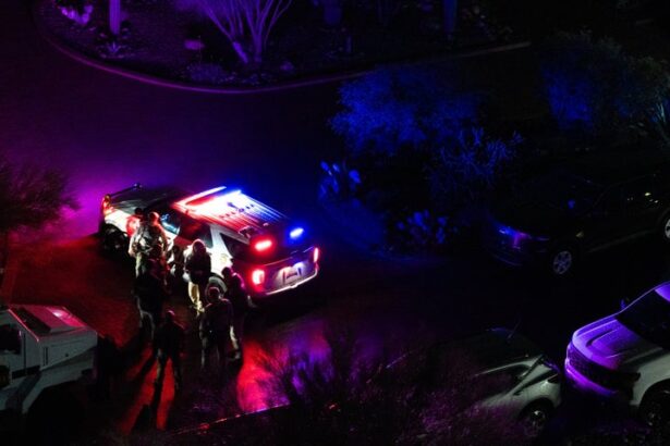 People Detained In SWAT Swarm On House Near Nancy Guthrie Neighborhood: Reports