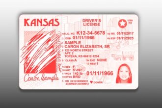 Red State Residents In Chaos After Lawmakers Yank Their Driver's Licenses, Birth Certificates