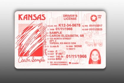 Red State Residents In Chaos After Lawmakers Yank Their Driver's Licenses, Birth Certificates