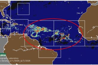 The Latest Satellite Images Reveal a Massive Sargassum Arrival this Season