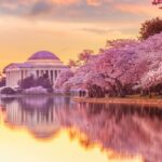 The Jefferson Memorial during the Cherry Blossom Festival in Washington, DC, USA