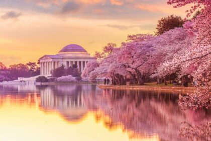 The Jefferson Memorial during the Cherry Blossom Festival in Washington, DC, USA