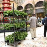 Local Adventurer » Travel Adventures in Las Vegas + World Wide