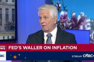 Fed Gov. Waller urges caution for now; cuts possible later in the year