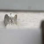 Fed still expects to cut rates once this year despite spiking oil prices