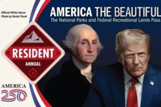 John Oliver Trolls Trump By Taking Away 1 Of His Favorite Things