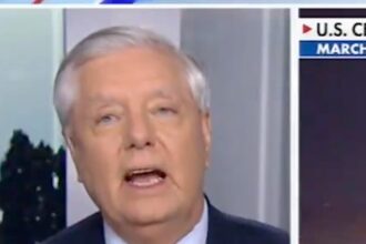Lindsey Graham Mocked With A Timely Reminder After New Iran Claim