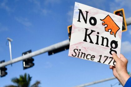 'No Kings' Protester Assaulted By MAGA Supporter At Event Near Mar-A-Lago: MS NOW Report