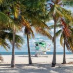 Swaying palm trees in Key Biscayne, FL