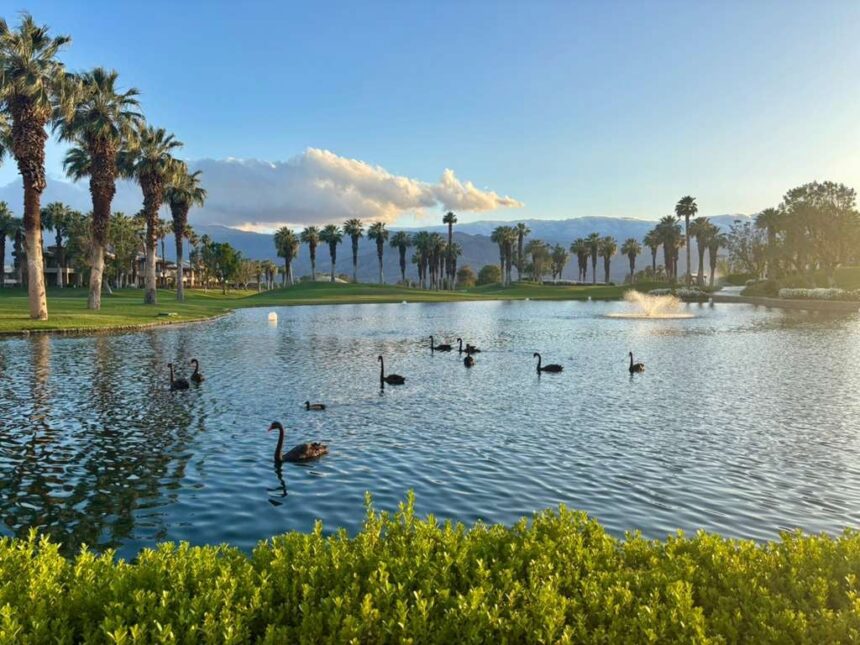 Nice day at JW Marriott in Palm Springs