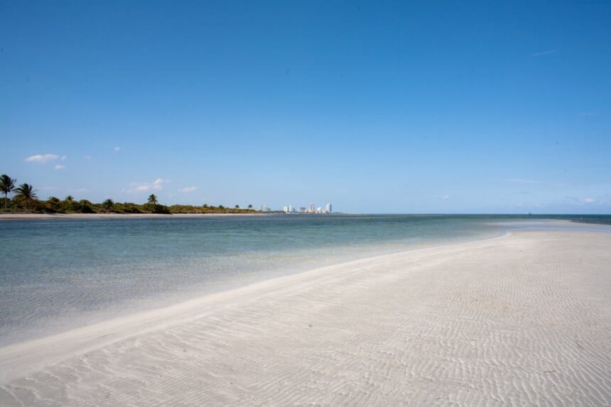 White-sand beach of Virginia Key with Miami skyline in the distance
