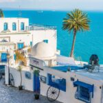 Whitewashed townscape of Sidi Bou Said, Tunisia