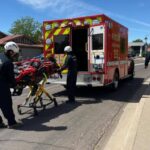 Arizona Hiker In Critical Condition After Being Stung More Than 100 Times