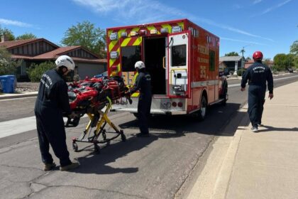 Arizona Hiker In Critical Condition After Being Stung More Than 100 Times