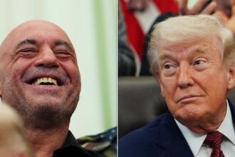 CNN Analyst Explains Why Trump Keeps War Critic Joe Rogan 'Close'