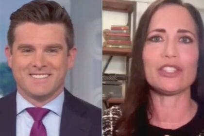 CNN Anchor Laughs At Ex-Trump Official's Take On Melania's Statement