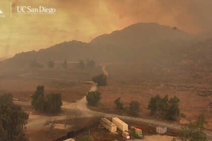 Crews Battle Fast-growing Wildfire In Windy Southern California That's Forced Some To Evacuate