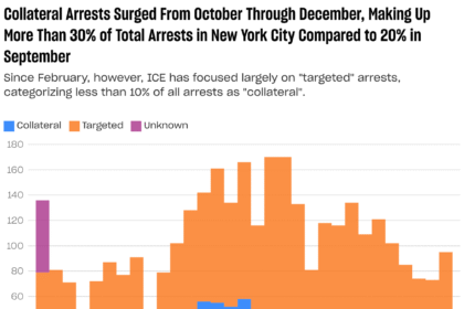 Drive-By Detention: 800 New Yorkers Swept Up In ‘Collateral’ ICE Arrests