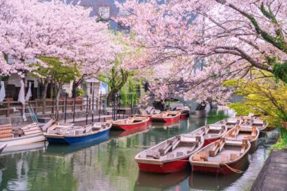 Cherry blossoms lining canal in Fukuoka, Japan