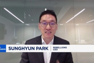 Huawei's cloud computing revenue dropped in 2025 as Chinese AI lagged U.S. rivals