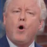 MAGA Guest Stuns CNN Panel With Pro-Trump Conspiracy Theory Involving Pope And Obama