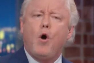 MAGA Guest Stuns CNN Panel With Pro-Trump Conspiracy Theory Involving Pope And Obama