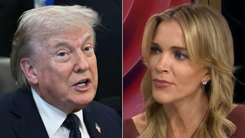 Megyn Kelly Puts Trump On Blast Over Morals, Marriage