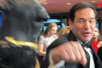 Triumph The Insult Comic Dog Baits Marco Rubio Into Playful Punch
