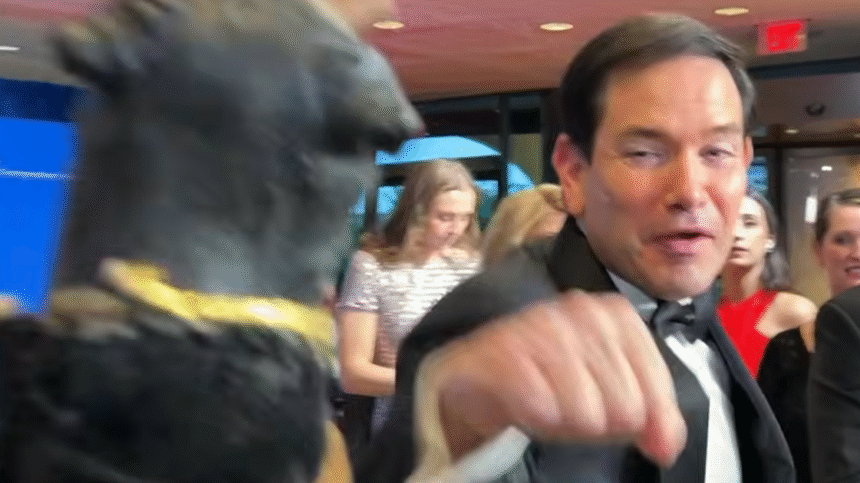 Triumph The Insult Comic Dog Baits Marco Rubio Into Playful Punch