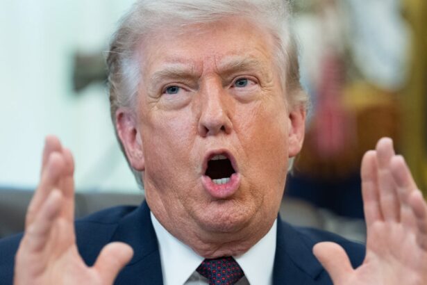 Trump's Surprise Library Confession Leaves Critics Aghast