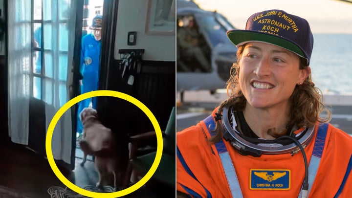 Video Of Astronaut Christina Koch’s Dog Greeting Her After Moon Mission Is Very Good